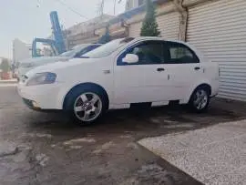 شفر افيو 2005, حلب, RF46071621
