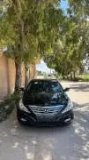 سوناتا 2010, إدلب, RF13361224