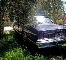 شيفروليه كابريس 1980, RF13159641