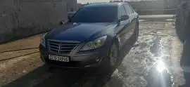 جنساس 2009, دمشق, RF15742774