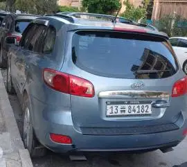 Hyundai Santa Fe CM 2006, RF20743829
