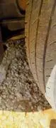 هيونداي سي ام 2006, درعا, RF35591669