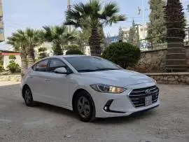 Avante 2018, Aleppo, RF10739396