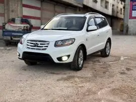 CM 2011, Aleppo, RF11595254