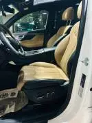 Hyundai Santa Fe 2024, RF90899946