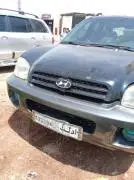 هيونداي سنتافي 2005, RF71107126