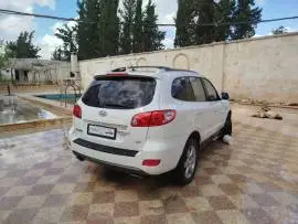 سي ام 2008, RF32591712