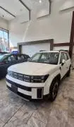 Hyundai Santa Fe 2024, RF19159313