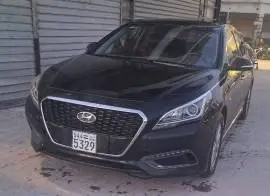سوناتا 2018, حلب, RF80515859