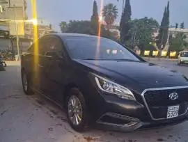 سوناتا 2018, حلب, RF80515859