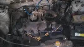 نيسان صني 1982, دمشق, RF57574457