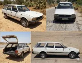 Peugeot 505 Station Model 1983 for Sale, RF99486787