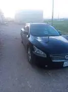 نيسان مكسيما 2012, حلب, RF18472524