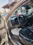 موهافي 2009, دمشق, RF14133083