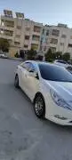 Hyundai Sonata 2011, Hama, RF54887219