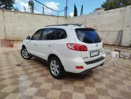 CM 2008, Aleppo, RF17180844