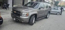 تاهو شفر 2013, طرطوس, RF20899027