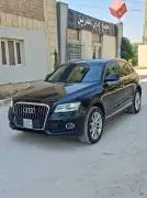 اودي Q5 2016, RF15825279