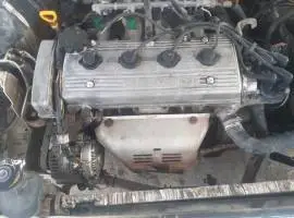 جيلي سما 2004, اللاذقية, RF81116617