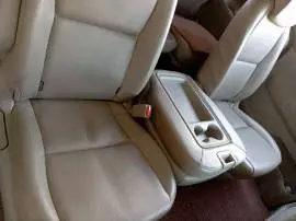 كرنفال 2015, حمص, RF22374159