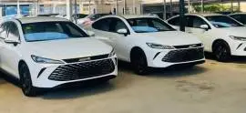 BYD Qin Plus 2025, دمشق, RF11162991