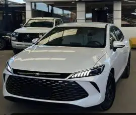 BYD Qin Plus DM-i 2025, RF10428210