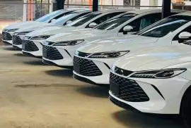 BYD Qin Plus DM-i 2025, RF10428210