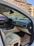 Jaguar 2014, RF65044728
