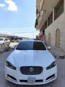Jaguar 2014, RF65044728