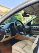 Jaguar 2014, RF65044728