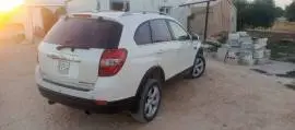 شفر كابتيفا 2013, RF95747345