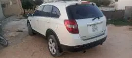 شفر كابتيفا 2013, RF95747345