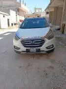 توسان 2012, حلب, RF86383019