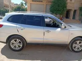 سي ام 2010, حلب, RF98788079