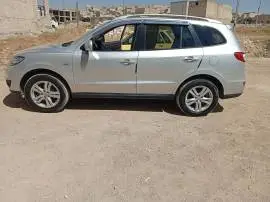 سي ام 2010, حلب, RF98788079