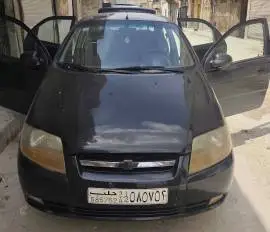 شفر أفيو 2006, حلب, RF12790549