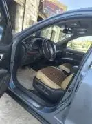 CM 2006, Aleppo, RF19506153