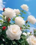 كيا مورننغ 2012, RF43046079