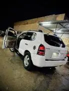 هيونداي توسان 2007, RF18411878