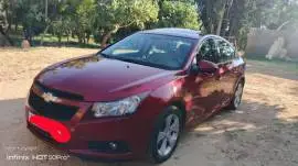 شفر كروز 2010, دمشق, RF89748024