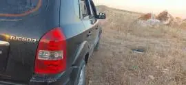 توسان 2006, إدلب, RF16568044