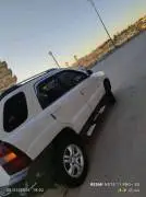 سبوتاج 2007, RF21001628