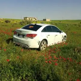 شفر كروز 2010, RF10896735