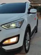 دي ام 2013, RF18790924