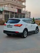 دي ام 2013, RF18790924