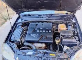 شفر اوبترا 2007, دمشق, RF14447822