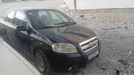 شفر افيو 2008, RF70833401