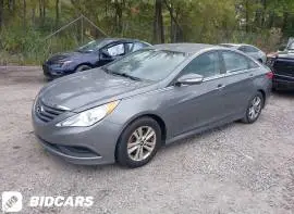 هيونداي سوناتا 2015, RF49863122