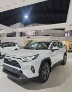 Toyota RAV4 2025, RF13335347