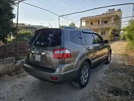 موهافي 2011, حلب, RF13777217